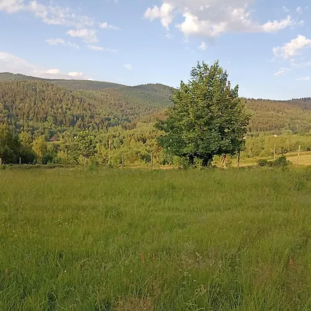 펜션 Folwark Noclegowy W Nowej Morawie - Tomaszowka Na Wys 600 M Nowa Morawa