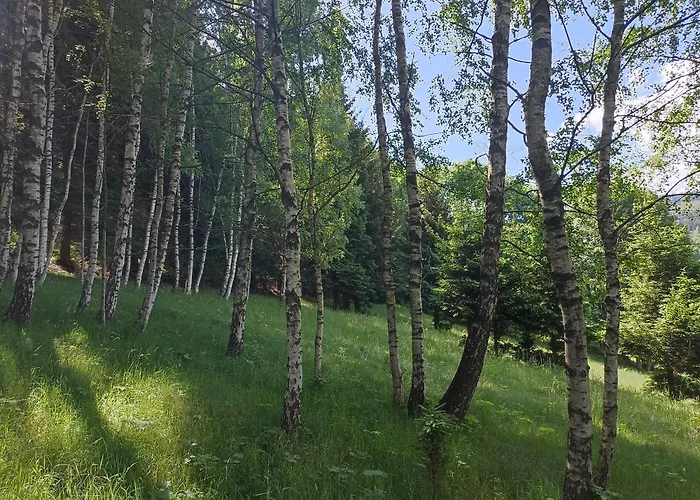 Folwark Noclegowy W Nowej Morawie - Tomaszowka Na Wys 600 M Prázdninový dům